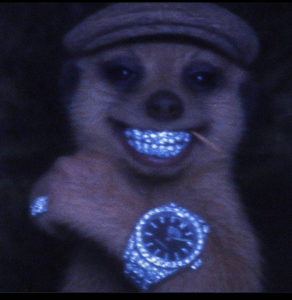 Big Mack Picks - MLB, NHL, NFL Betting Expert Profile Picture